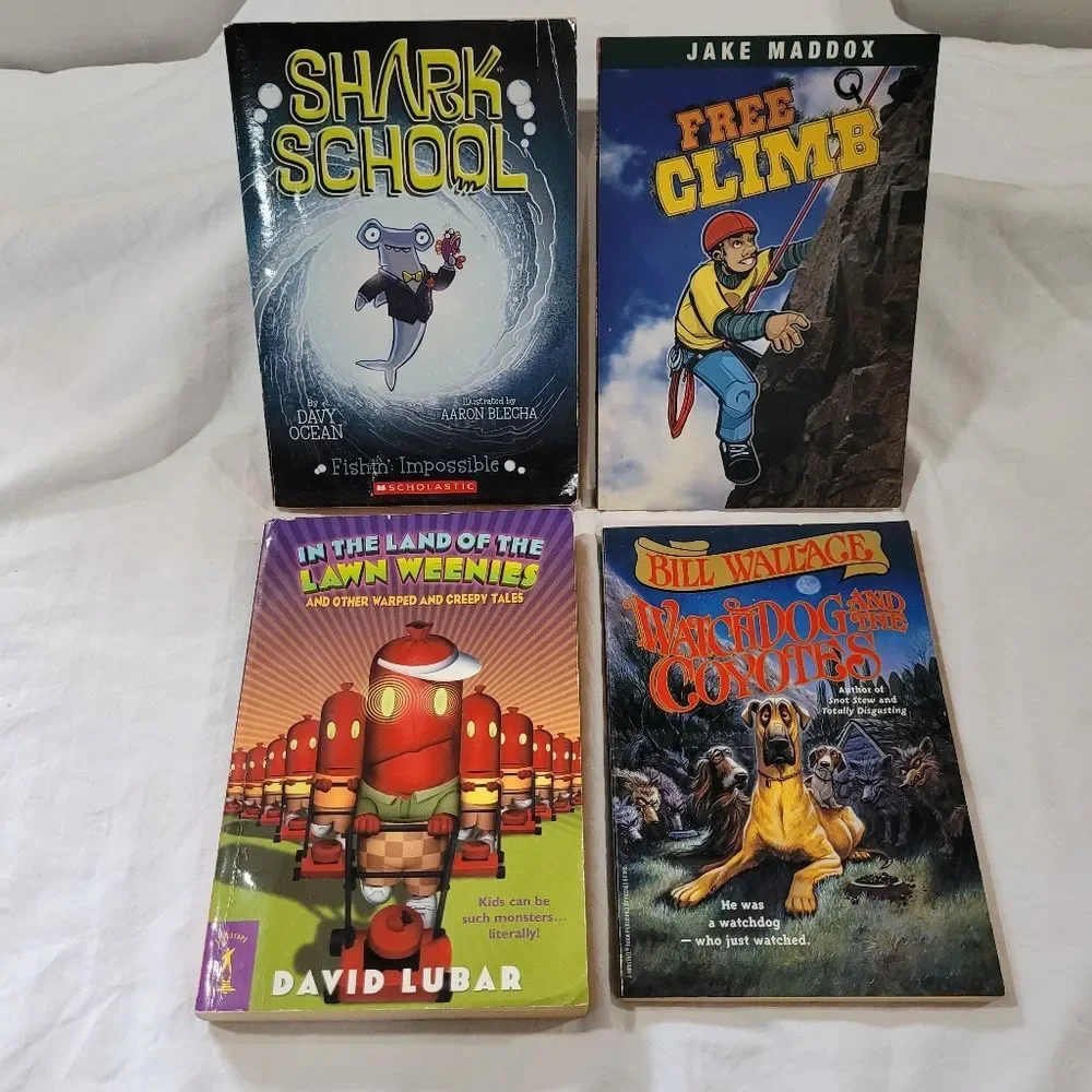 Set of Four Boy Kid Chapter Books